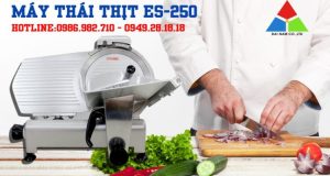 Máy thái thịt đông lạnh ES-250