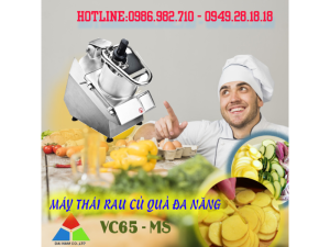 Máy thái rau của quả VC65-MS