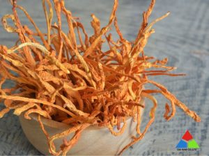Cách Bảo Quản đông Trùng Hạ Thảo Tươi (3)