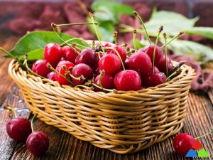 cách bảo quản cherry